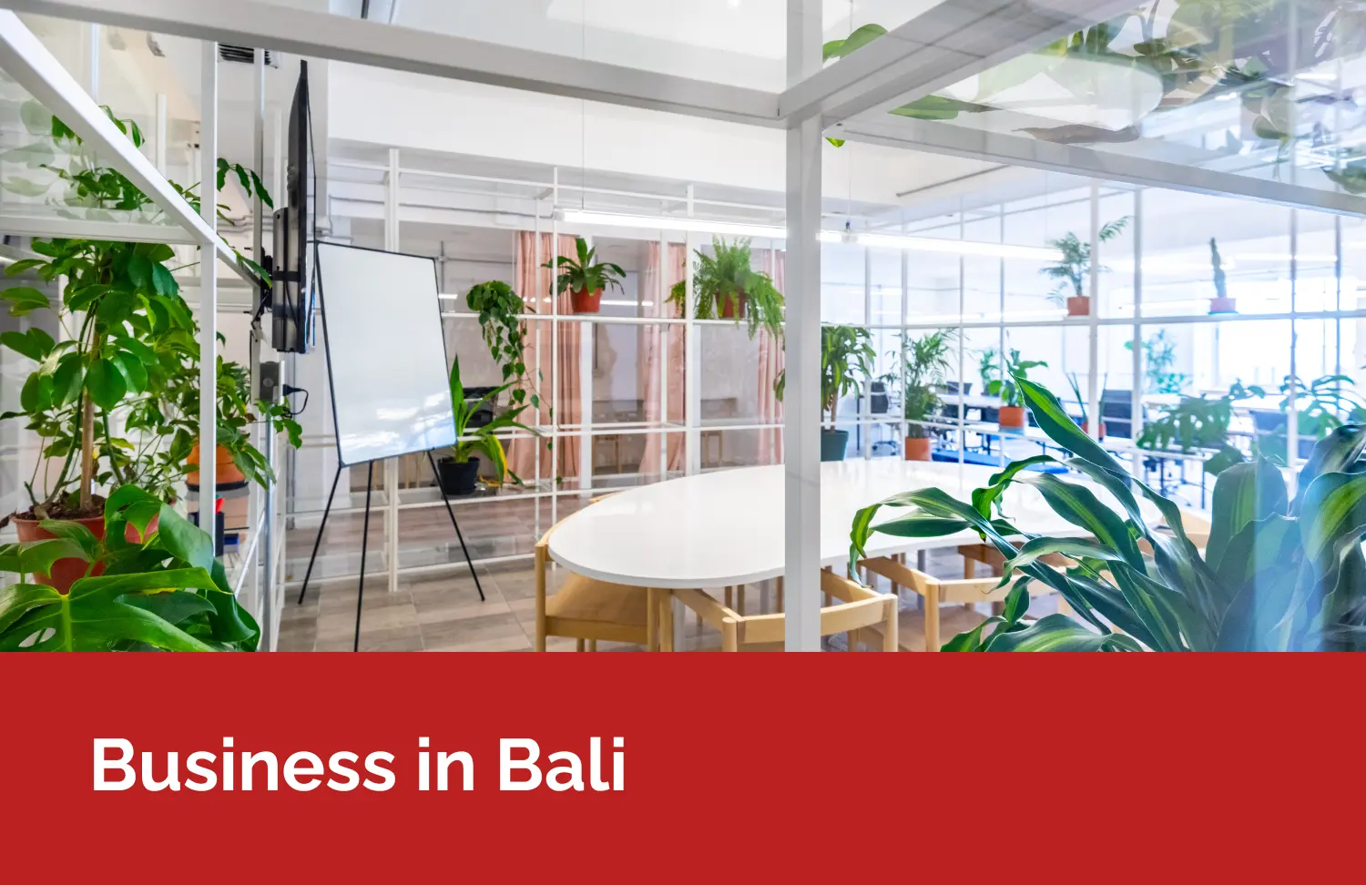 Business in Bali