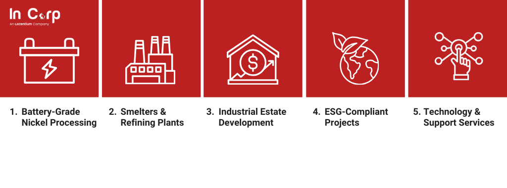 Future investment opportunities in the nickel industry